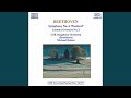 Symphony No. 6 in F Major, Op. 68 "Pastoral": II. Scene by the brook: Andante molto mosso