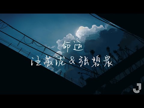 汪苏泷 & 张碧晨 - 命运 【动态歌词 Lyrics】