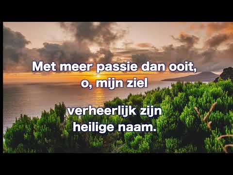 Opwekking 733 Tienduizend redenen 1B