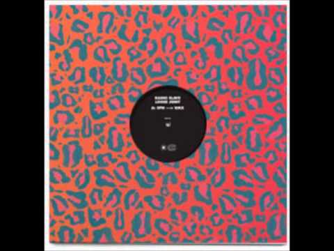 Radio Slave - Loose Joint (Molly's One Day One Night Remix)
