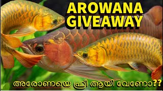 അരോണയെ ഫ്രീ ആയി വേണോ??!! Giving our Arowana Free to any one of the subscribers.