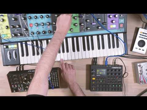 Moog Subharmonicon and Matriarch in a Jam :: [Synth Recipe #74]