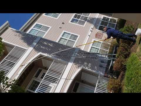 Yellow Jackets Harboring in Community Building in Ewing, NJ