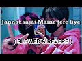 Jannat Sajai Maine Tere Liye SLOWED Sad REVERB Trending Viral Vews Lofi Music Instagram Music