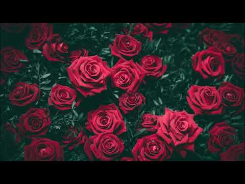 Lotte Mullan- Valentine Song cover