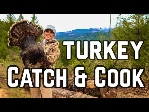 Turkey Catch and Cook : The BEST way to cook Wild Turkey.