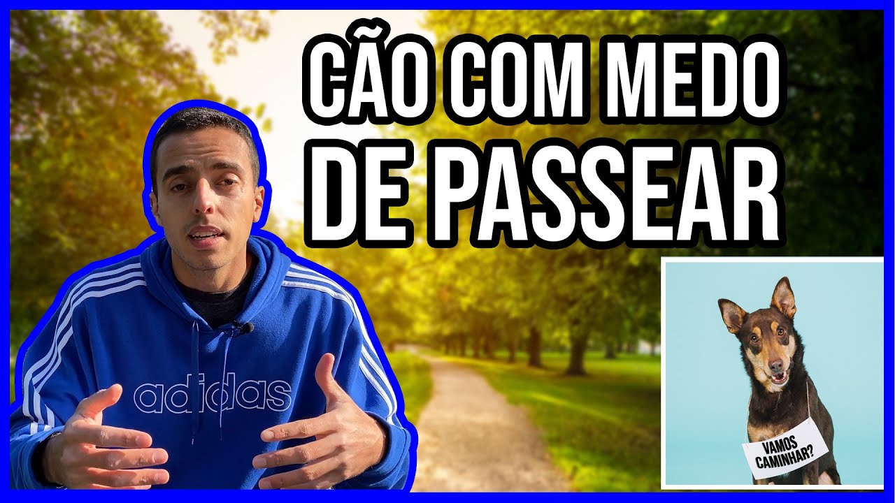 ✅ Cachorro que tem medo de passear ou assustado com a rua. RESOLVIDO! 👍