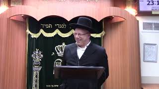 מומלץ מאוד ומצחיק!!! הרב ליאור גלזר פרשת משפטים יביע אומר בלעדי לערוץ