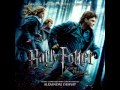 #23 Captured and Tortured - Alexandre Desplat • Harry Potter and the Deathly Hallows Part 1