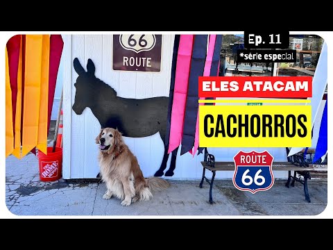 SÉRIE ESPECIAL ROTA 66 • EP. 11 • O ARIZONA E O VELHO OESTE PELAS MONTANHAS