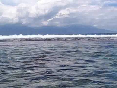 Tahiti Moorea - Lagoonarium-ul de la Motu Ahi (2)