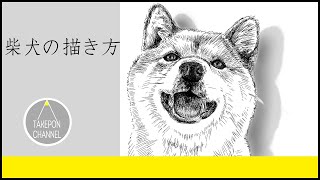 動物の描き方 リアルなライオンのイラストが誰でも簡単に上手くなる方法 Howtodrawlion موقع ويب حيث يمكنك مشاهدة مقاطع فيديو موسيقية مجانية 動物の描き方 リアルなライオンのイラストが誰でも簡単に上手くなる方法 Howtodrawlion موقع ويب حيث يمكنك مشاهدة مقاطع فيديو موسيقية مجانية