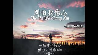 别怕我伤心—Bie Pa Wo Shang Xin / 半吨兄弟 (原唱：张信哲）[Chiffonia Music] Lyrics Pinyin