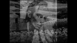 Peter Murphy - Our Secret Garden - Subtitulos español