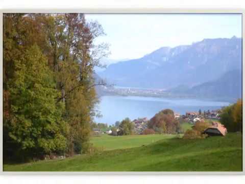 Ferienwohnung Aeschi Rubenov