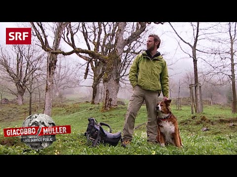 SRF Bi de Lüt: Over hill and dale | Giacobbo / Müller | Comedy | SRF