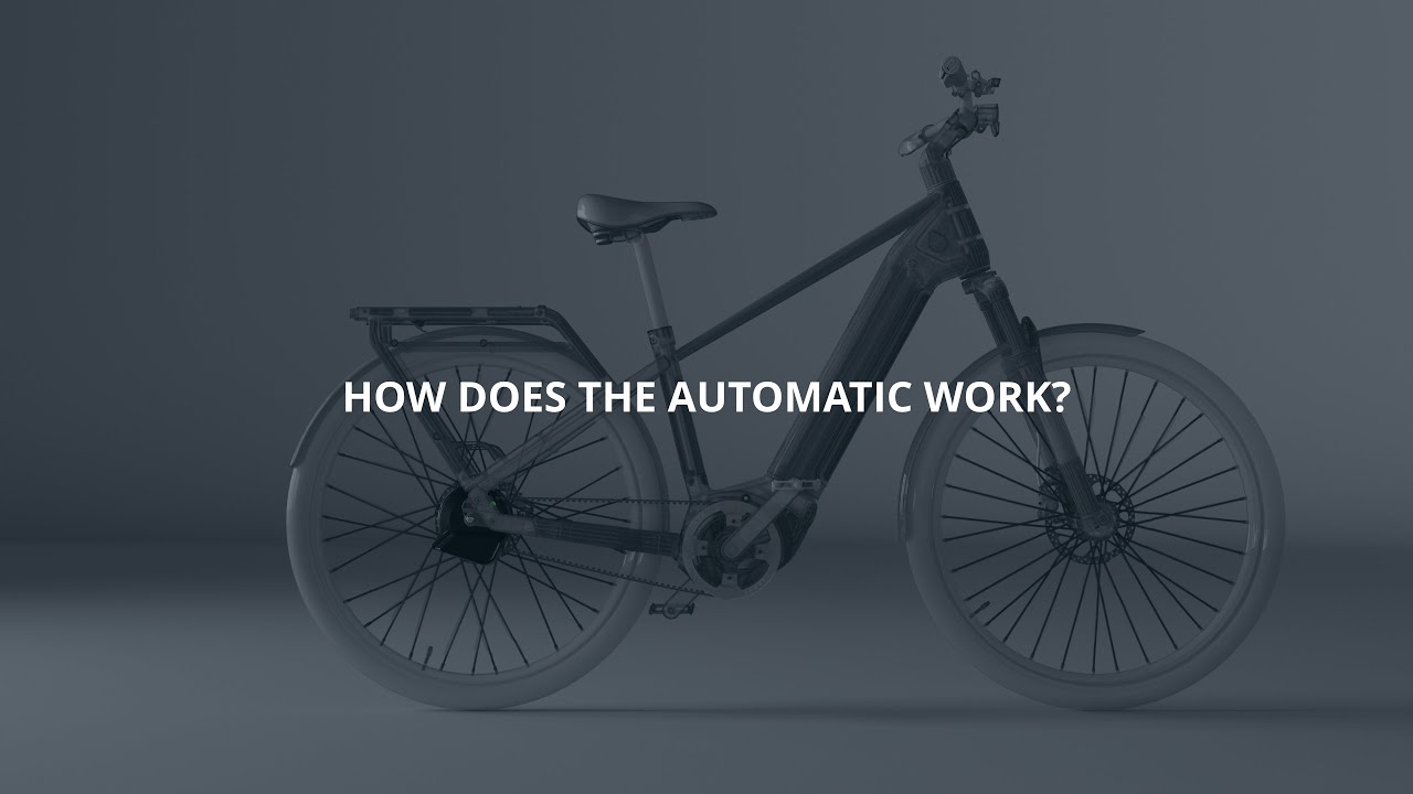 Afbeelding van de Kalkhoff Image 5 Excite + BLX