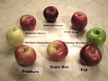 Apples 101 About Golden Delicious Apples