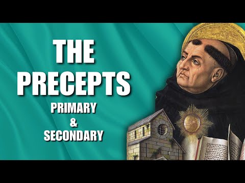 Primary & Secondary Precepts | Aquinas & Natural Law Ethics #3