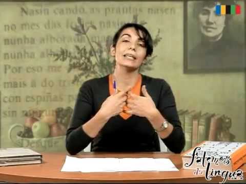 Vídeo: Falemos da lingua. Os complexos lingüísticos I