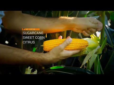 U.S. Sugar - Customer Success Story (Miguel Clavijo - Agriculture Systems Manager)