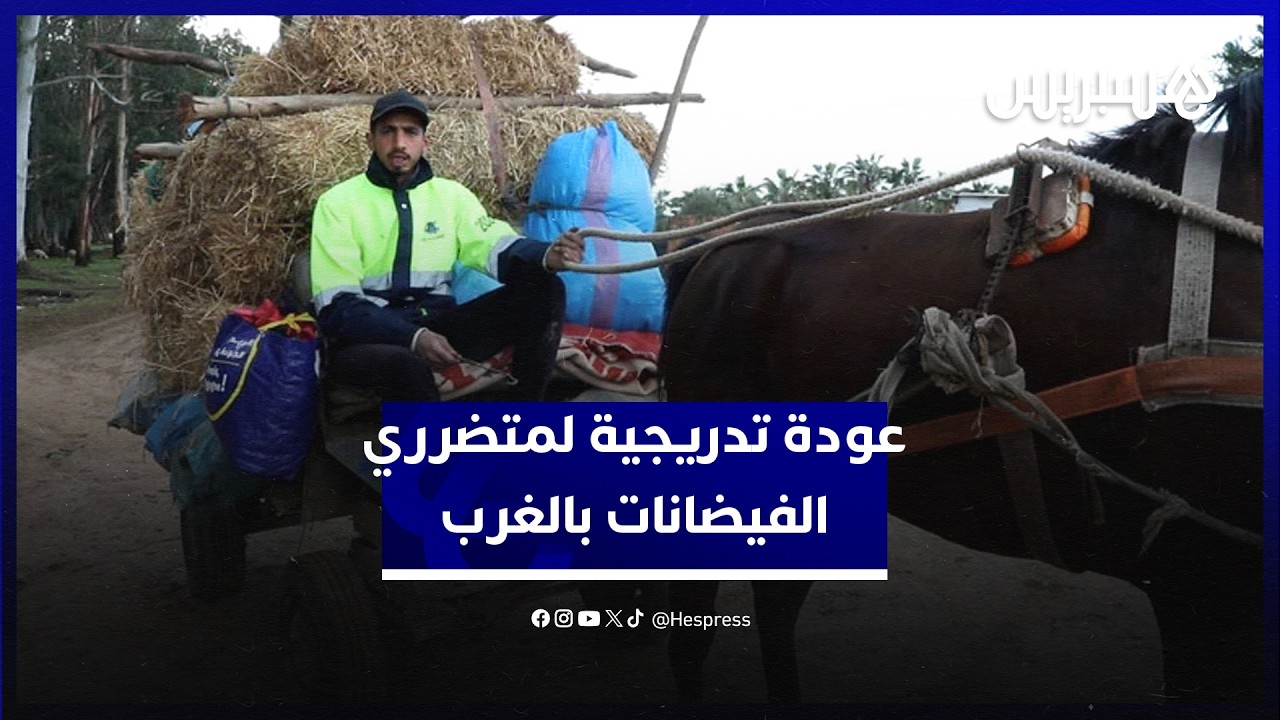 متضررو الفيضانات بدواوير الغرب يدشنون عودة تدريجية إلى منازلهم thumbnail