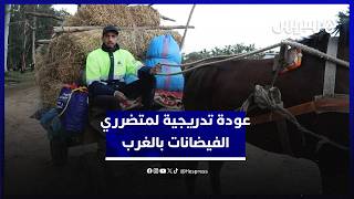 متضررو الفيضانات بدواوير الغرب يدشنون عودة تدريجية إلى منازلهم thumbnail