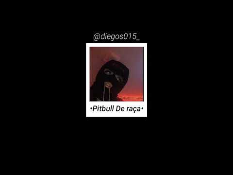 Só Pitbull De Raça - Faixa De Ouro - MC Dukenny (LETRA)