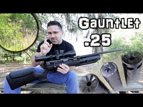 Umarex Gauntlet .25 Air Rifle (Review) + Accuracy TEST - 50 \u0026 100 Yard - Regulated PCP Pellet Gun
