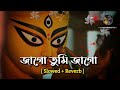 Jago Durga 🎧 || (LOFI slowed & reverb) || জাগো তুমি জাগো || Durga puja lofi song