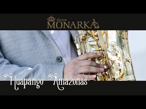 Huapango Amazonas - Conjunto Monarka  [El Poder De La Música]