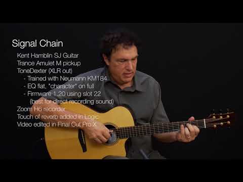 Doug Young Pickup vs ToneDexter Sound Demo