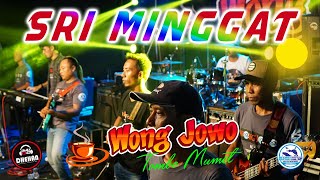 Download lagu SRI MINGGAT ~ ALL MUSISI WONG JOWO MENYANYI || DHEHAN AUDIO mp3 Download lagu SRI MINGGAT ~ ALL MUSISI WONG JOWO MENYANYI || DHEHAN AUDIO mp3