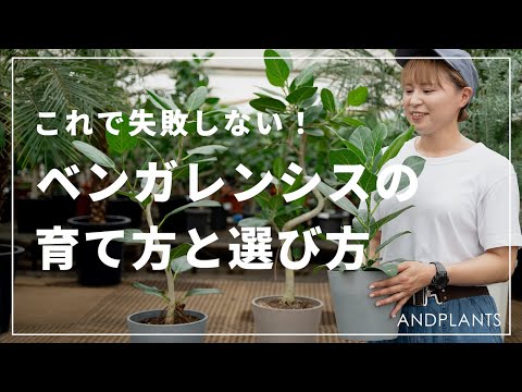 IUCN分類における絶滅の危険性を示す図。