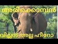 Arikomban Arikomban Mass Arikomban Status Arikomban Hero