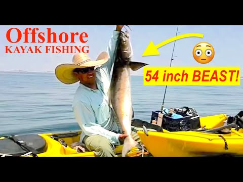 Catching BIG COBIA offshore fishing in Corpus Christi Texas