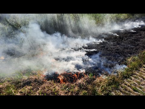 Omstanders blussen brand met kleed Brandweer en RWS met spoed naar een buitenbrand in Velserbroek