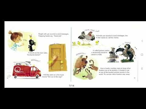 29 Sounds All Around