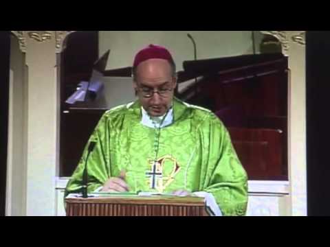 Today's Homily - 2013- 07-02 - Bishop Jan Liesen of Breda, Netherlands