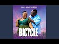 Bicycle Swafo Maxy Khoisan