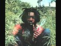 Peter Tosh & Bob Marley - Fire, Fire