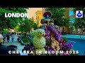 London Walk Flower Displays CHELSEA In Bloom Flowers In Fashion Central London Walking Tour