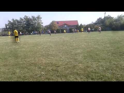 Echipa de fotbal viitorul costesti 2016