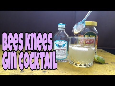 Bees Knees Gin Cocktail in Hindi | DrinkBuddie