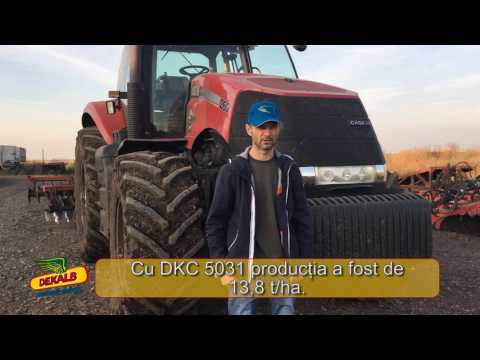 Testimonial DKC 5031, DKC 5141 - Baican Neru