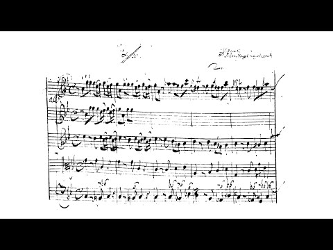 Johan Friedrich Schreyfogel – Violin Concerto, in C minor
