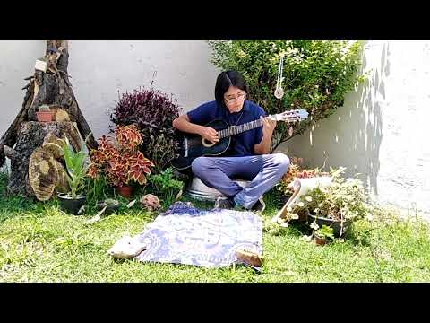 Vuela Con El Viento - Ayla Schafer