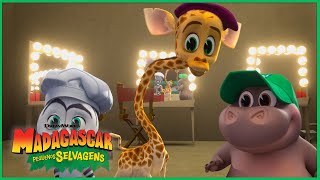 Festa Dançante no Zoológico! 🪩 | DreamWorks Madagascar em Português