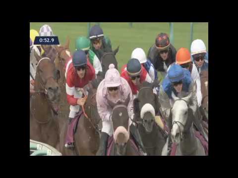 C3 GD Hand des Milers du Qatar Racing and Esquestrian Club