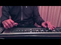 "Half a Mind" Pedal Steel Guitar